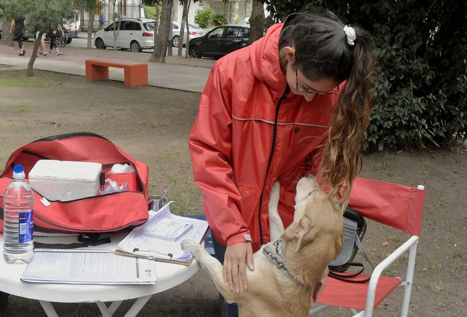 Morón lanza campaña gratuita de vacunación antirrábica: ¡protege a tu mascota antes de que sea tarde!