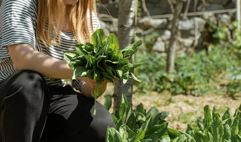 CURSO-DE-PROMOTORES-AGROECOLOGICOS