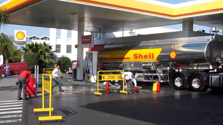 SHELL TAPA